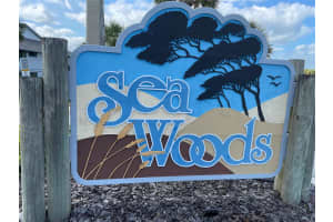 4327 Sea Mist Dr, New Smyrna Beach, FL 32169, Sold 03/02/22