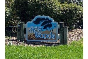 4307 Sea Mist Dr, New Smyrna Beach, FL 32169, Sold 06/17/22