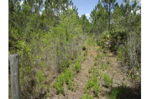 4739 Kola ROAD, NEW SMYRNA BEACH, FL 32168 - MLS#MFRNS1074404