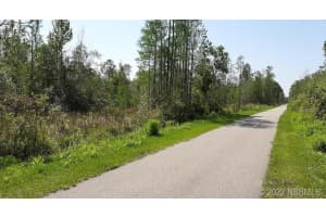 0 MAYTOWN ROAD, OAK HILL, FL 32759 Sold 07/18/25