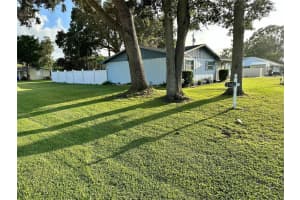 2502 Umbrella Tree DRIVE, EDGEWATER, FL 32141 Sold 09/19/24