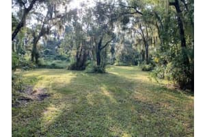 351 Palm AVENUE, OAK HILL, FL 32759 - MLS#MFRNS1077467