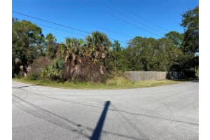 3449 WASHINGTON AVENUE, EDGEWATER, FL 32141 Sold 03/14/25