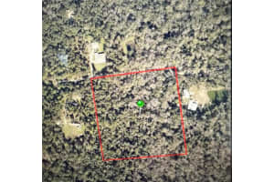 0 TANGELO ROAD, EDGEWATER, FL 32141 Sold 11/04/24