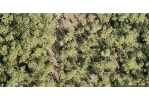 4685 MAGNOLIA ROAD, NEW SMYRNA BEACH, FL 32168 - MLS#MFRNS1080941