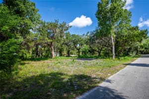 316 CEDAR AVENUE, OAK HILL, FL 32759 Sold 06/25/25