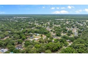 NEEDLE PALM DR, EDGEWATER, FL 32132 Sold 09/17/25