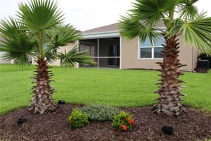 217 CARYOTA COURT, NEW SMYRNA BEACH, FL 32168 Sold 11/25/24