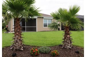 217 CARYOTA COURT, NEW SMYRNA BEACH, FL 32168 Sold 11/25/24