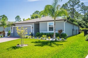 343 SARAH NICOLE WAY, NEW SMYRNA BEACH, FL 32168 Sold 08/19/24