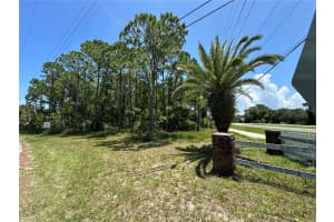 90 PALM BREEZE DRIVE, EDGEWATER, FL 32141 - MLS#MFRNS1082117