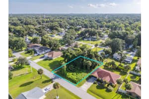 0 PINE TREE DRIVE, EDGEWATER, FL 32141 Sold 12/31/24