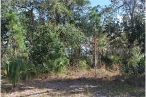 S RIDGEWOOD AVE, EDGEWATER, FL 32141 - MLS#MFRNS1082574