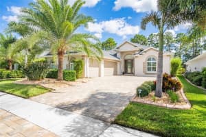 3043 BORASSUS DRIVE, NEW SMYRNA BEACH, FL 32168 Sold 12/02/24