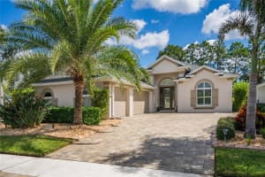 3043 BORASSUS DRIVE, NEW SMYRNA BEACH, FL 32168 Sold 12/02/24