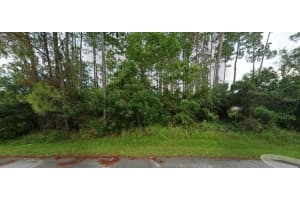 42 BURNING SANDS LANE, PALM COAST, FL 32137 Sold 05/22/25