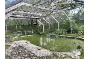 817 HELEN AVENUE, DELAND, FL 32720 Sold 11/26/24