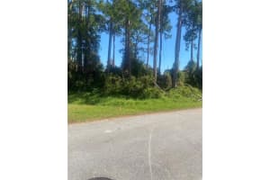ROYAL PALM DR, EDGEWATER, FL 32141 Sold 12/04/24