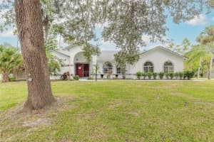 2627 NEEDLE PALM DRIVE, EDGEWATER, FL 32141 Sold 02/21/25