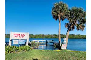 251 BISSIT BAY ROAD, OAK HILL, FL 32759 - MLS#MFRNS1083142