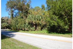 125 JUNGLE ROAD, NEW SMYRNA BEACH, FL 32168 Sold 07/16/25