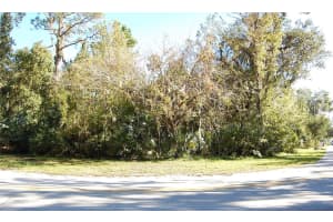 125 JUNGLE ROAD, NEW SMYRNA BEACH, FL 32168 Sold 07/16/25