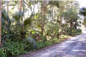 0 PALM DRIVE, NEW SMYRNA BEACH, FL 32168 - MLS#MFRNS1083323