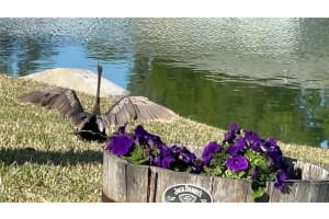 107 OLD SUNBEAM DRIVE, SOUTH DAYTONA, FL 32119 Sold 07/21/25