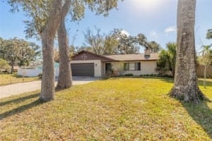 3003 Tamarind Dr, EDGEWATER