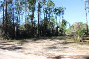 3991 SWAMP DEER ROAD, NEW SMYRNA BEACH, FL 32168 Sold 06/30/25