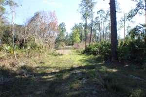 3991 SWAMP DEER ROAD, NEW SMYRNA BEACH, FL 32168 Sold 06/30/25