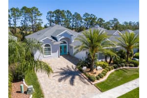 3045 Borassus Dr, NEW SMYRNA BEACH