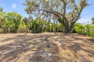 431 LIVE OAK STREET, EDGEWATER, FL 32132 Sold 06/13/25