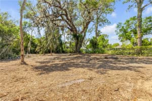 431 LIVE OAK STREET, EDGEWATER, FL 32132 Sold 06/13/25