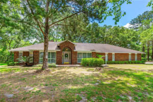 32030 DEWBERRY LANE, SORRENTO, FL 32776 Sold 07/07/25