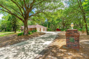 32030 DEWBERRY LANE, SORRENTO, FL 32776 Sold 07/07/25