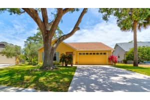 706 SKY TREE COURT, NEW SMYRNA BEACH, FL 32168 Sold 09/05/25