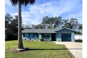 1920 Travelers Palm Dr, EDGEWATER