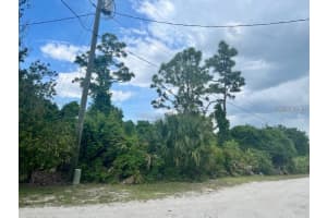 SR-415, NEW SMYRNA BEACH, FL 32168 - MLS#MFRNS1085172