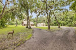 2965 KNOX MCRAE DR, TITUSVILLE, FL 32780 Sold 08/27/25