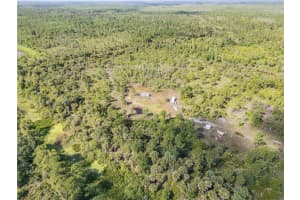 0 NO NAME, OAK HILL, FL 32759 - MLS#MFRNS1085318