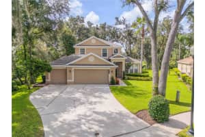 3202 Stonebridge Trl, VALRICO