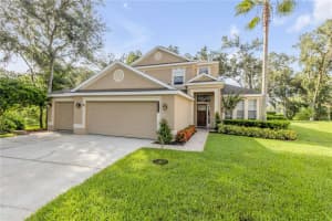 3202 STONEBRIDGE TRAIL, VALRICO, FL 33596 - MLS#MFRNS1085514