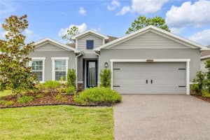 1002 Chelan Falls Dr, DELAND