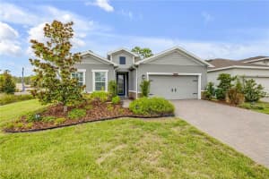 1002 CHELAN FALLS DRIVE, DELAND, FL 32724 - MLS#MFRNS1085773