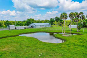 440 PUTNAM GROVE ROAD, OAK HILL, FL 32759 - MLS#MFRNS1085803