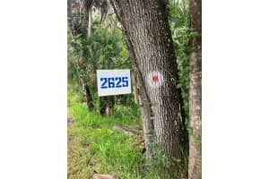 2625 VOLCO ROAD, EDGEWATER, FL 32141 - MLS#MFRNS1085910