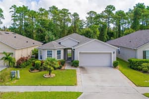 537 WHITE CORAL LANE, NEW SMYRNA BEACH, FL 32168 - MLS#MFRNS1085993