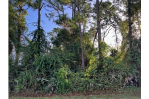 1927 TRAVELERS PALM DRIVE, EDGEWATER, FL 32141 - MLS#MFRNS1086138