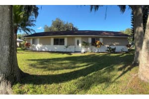 1604 Umbrella Tree Dr, EDGEWATER